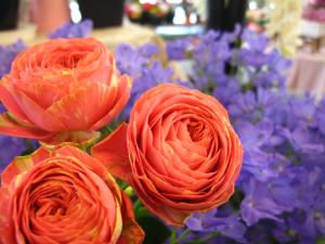 ラナンキュラスのような…バラのような…｜「フローリスト桜屋」　（長野県上田市の花キューピット加盟店 花屋）のブログ